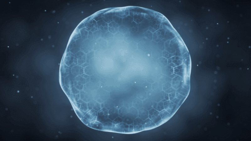 小分子CDMO工艺流程：揭秘药物研发的“幕后英雄”**
