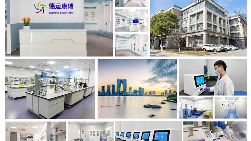 医院PCR核酸检测流程解析：从样本处理到结果输出