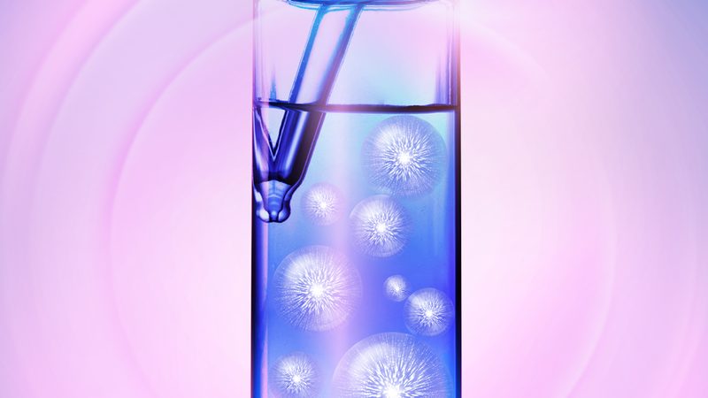 酶：生命活动中的“催化剂”**