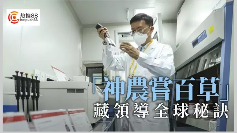 DNA引物合成：揭秘其报价背后的关键因素