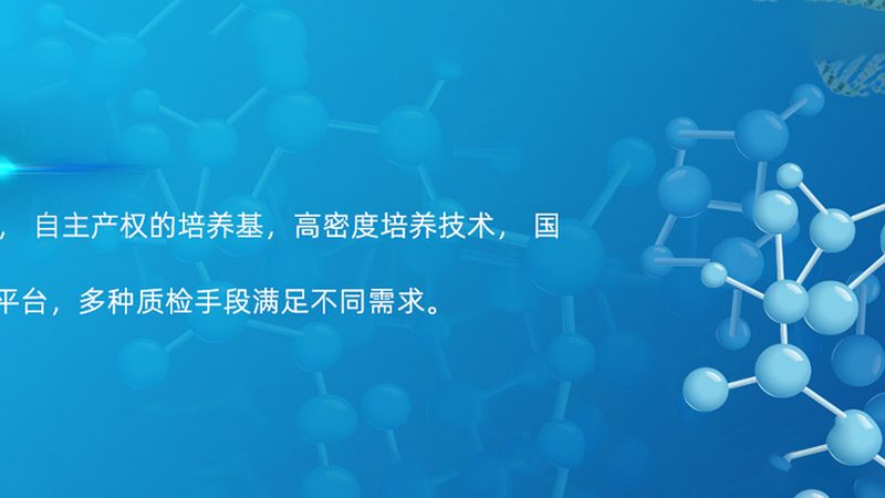 临床实时荧光PCR检测实验室建设：技术要点与合规性考量
