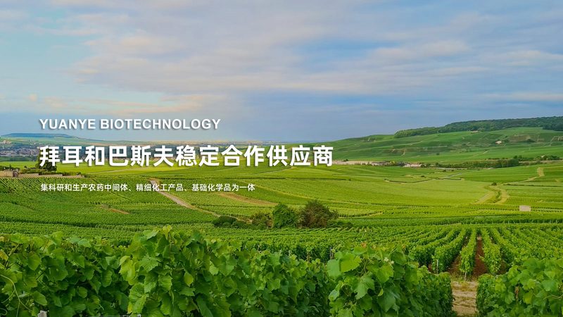 小分子CDMO：如何选择合适的生产厂家？**