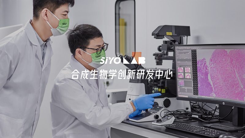 实验室耗材耐化学性测试：标准与关键要点