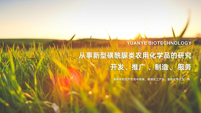 生物制药GMP车间，施工流程揭秘**