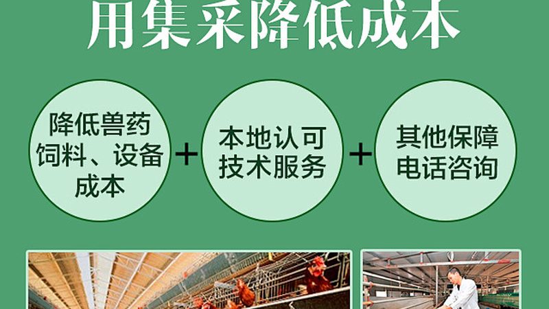 PCR检测结果时间快慢背后的科学解析