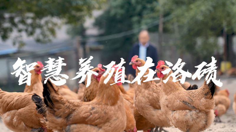 PCR离心管：揭秘其价格背后的秘密