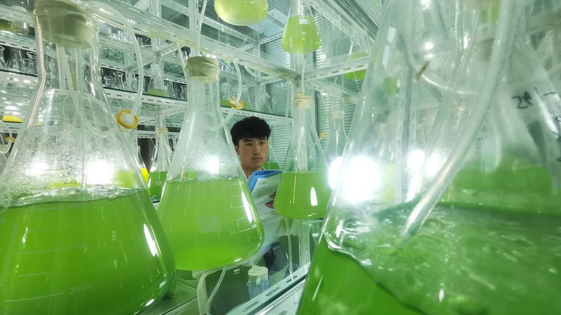 RNA提取试剂盒：揭秘其批发价格背后的秘密